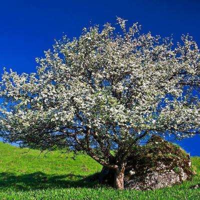 新万博全站app最新版截图