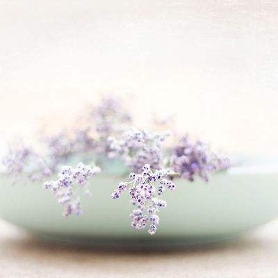 安博体育APP-登录入口